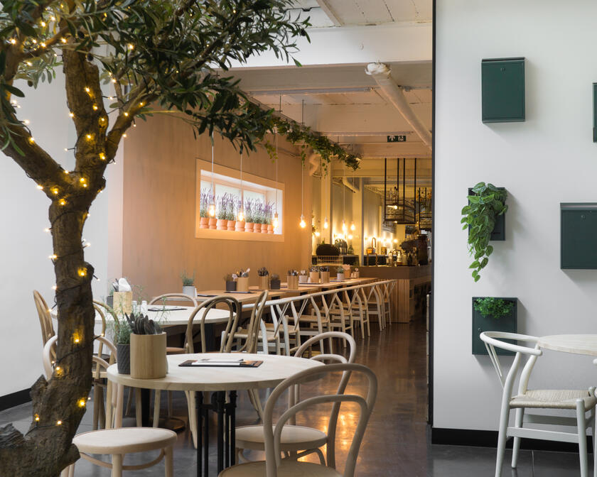 Interieur van restaurant Gust met planten aan de muur en een verlichte boom in de zaal.