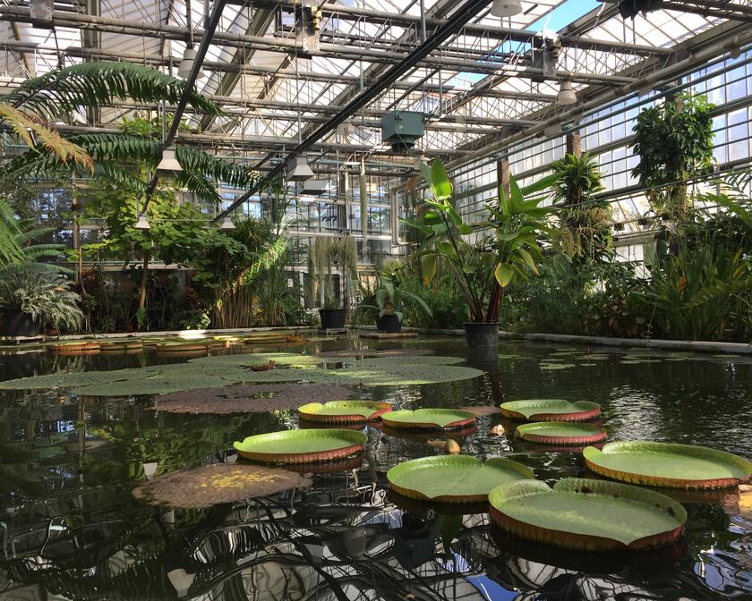 Botanischer Garten der Universität Gent