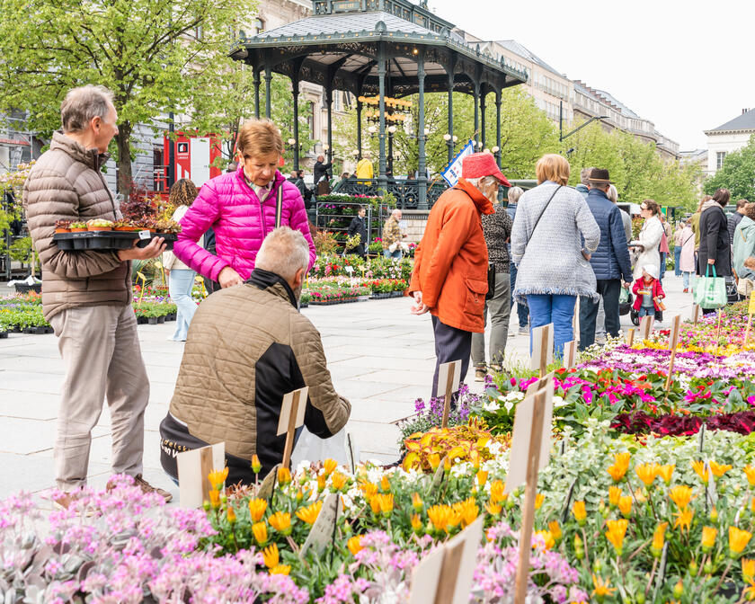 People choosing flowers at the Flower Market