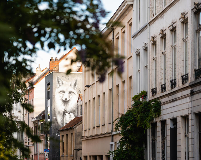 Street art werk van grijze vos op zijgevel van woning in Gent