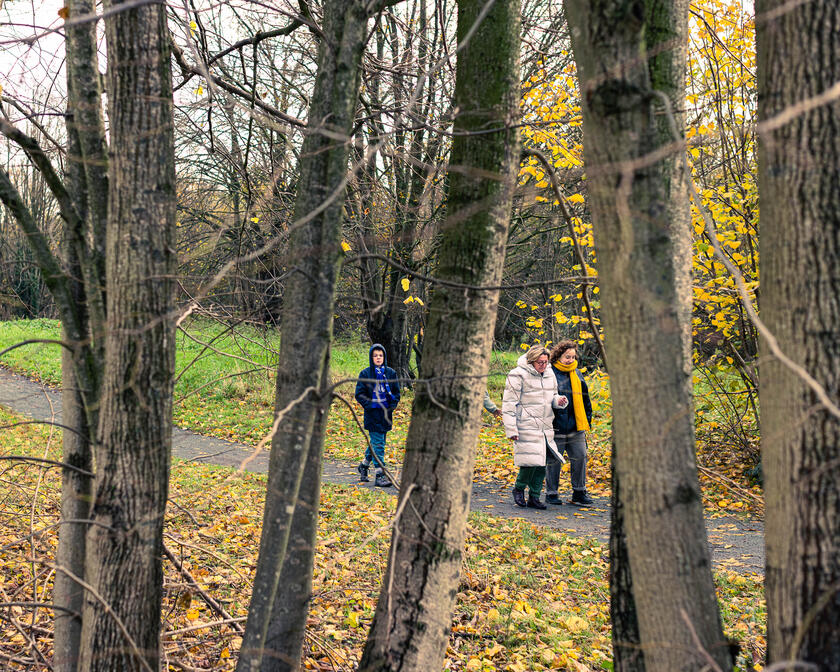 Mensen op wandel in het bos