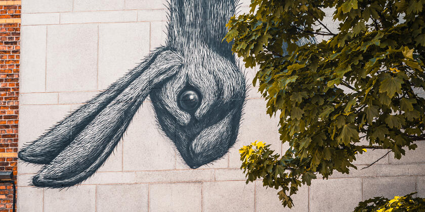 Kop van haas, street art werk van ROA