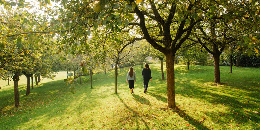 Twee personen wandelen in het tuin van de Sint-Pietersabdij