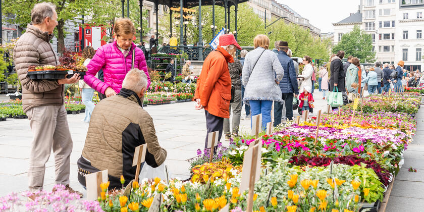 Mensen die bloemen uitzoeken op de Bloemenmarkt