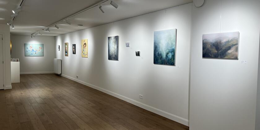 Francis Bekaert and Marjolein Labeeû exhibition