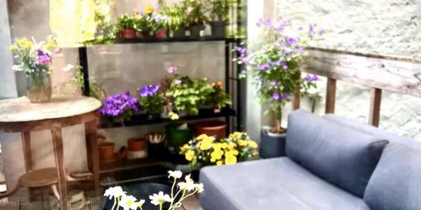 terrasse agréable avec banquette d'angle grise et toutes sortes de plantes