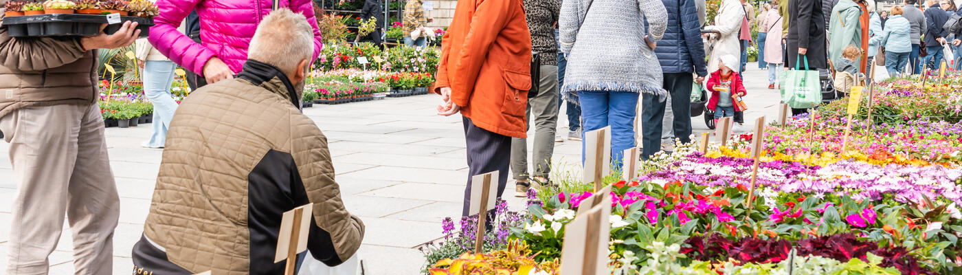 People choosing flowers at the Flower Market