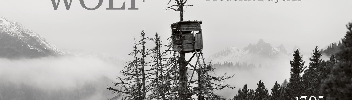 High in a treetop sits a wooden lookout hut. A long wooden ladder seems to allow you to climb from the surrounding treetops (conifers) to the lookout hut. In the background, you can see several snow-covered mountain peaks around which a dense fog hangs.