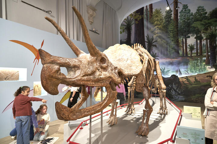 Dinosaur skeleton in the World of Kina