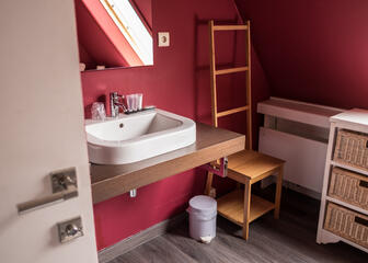Badkamer met bordeaux muren en grote wastafel.