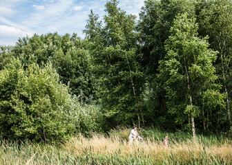 Zicht op bos Gentbrugse Meersen. Moeder met koets en dochter wandelen aan de bosrand.