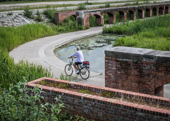 Man die fietst op een weg met ernaast water, riet en gras