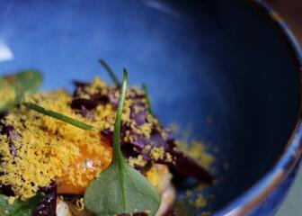 Cauliflower - slow cooked egg - fermented red cabbage