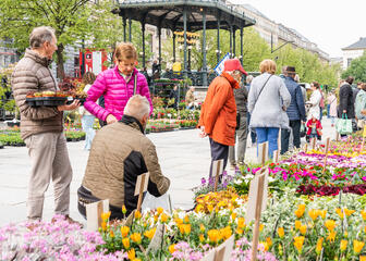 Menschen wählen Blumen auf dem Blumenmarkt aus