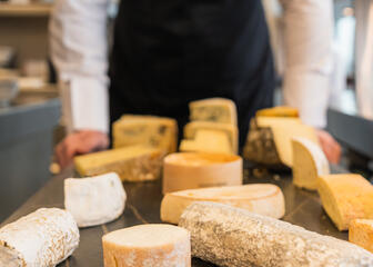 Varios tipos de queso
