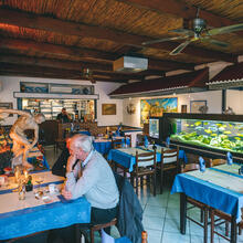 Restaurant met Grieks interieur: houten tafeltjes met blauw tafellaken en witte loper, houten plafonds en een aquarium in het midden van de ruimte.