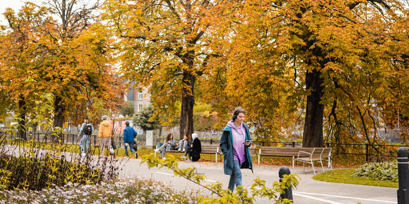 Persoon op wandel in een park tijdens de herfst