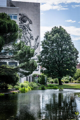 vijver met daarachter bomen en groen, een gebouw met een street art van dierenskeletten van roa 