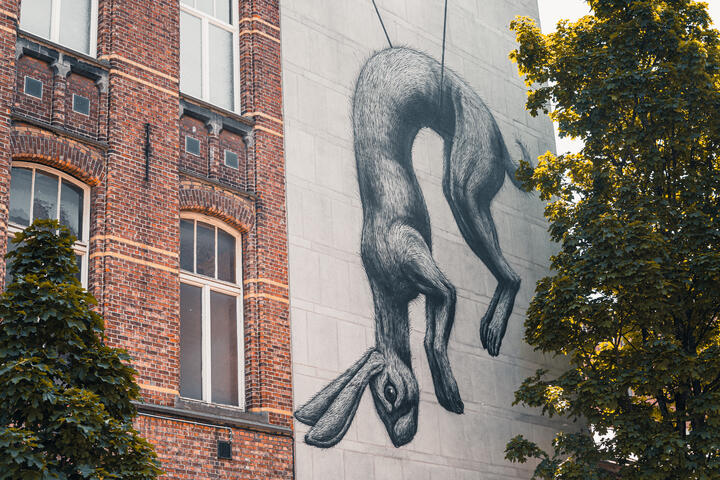 Street Art werk "Zoenoffer" van ROA op de Oude Houtlei in Gent. Een zwarte grote haas.