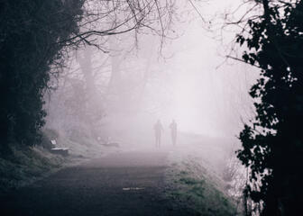natuurpark bourgoyen-ossemeersen tijdens een mistige winterochtend